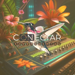 CONECTAR ( Experimental )