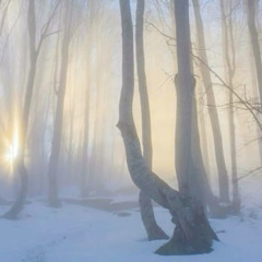 *free* "fl3x" Icytwat x Lordfubu x Dark x Melodic type beat (prod. Jordan Band$)