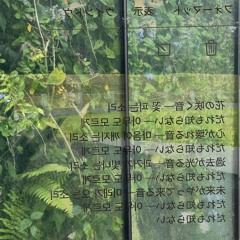 誰も知らない - 2024:07:09 22.22