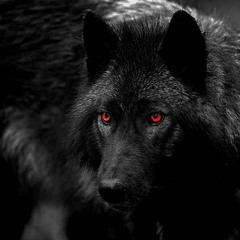 Stegerino - Alpha Wolf (OvertonesRemix)