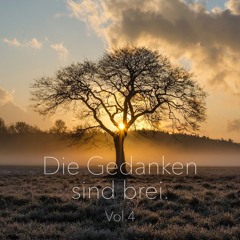 Die Gedanken sind brei Vol.4
