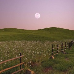 Escapism - Steven Universe (Cover) (Ft. Toy)