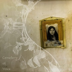 Cemetery Of Voice
