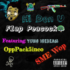 Flap Peacock🦚-Hi Den U ft.OppPack5inco, SME Wop, Yung Icebeam