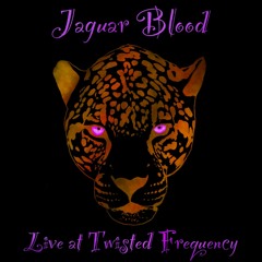 Jaguar Blood Live at Twisted Frequency 21-22
