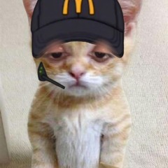 Daybyday prod by.m4a