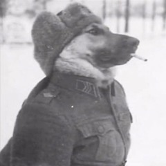 DZWS & VANILLA - MORI DE DOR.mp3