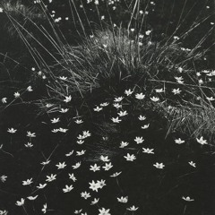 Re-action (2020) – Maxim Kolomiiets