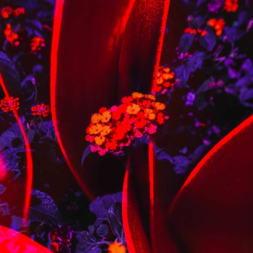 FATESKY - L'Amor (Extended Mix)