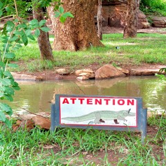 2020-06-20 (Mali, mon berceau musical 🇲🇱)