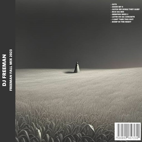 Stream FREEMAN FALL MIX 2023 by DJ FREEMAN Listen online for free on