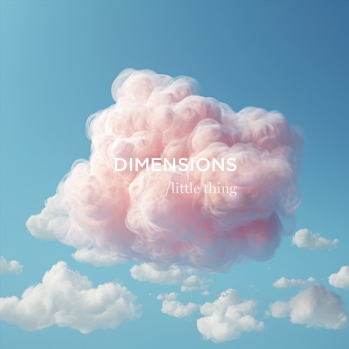 Dimensions /little thing
