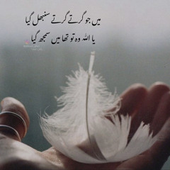 SHAN-E-AMMI_AISHA__R.A.____Ami_Ayesha_Tere_Naam_Pe_Qurban___Hafiz_Abu_Bakar_Bervi___YS_Pro(128k).mp3