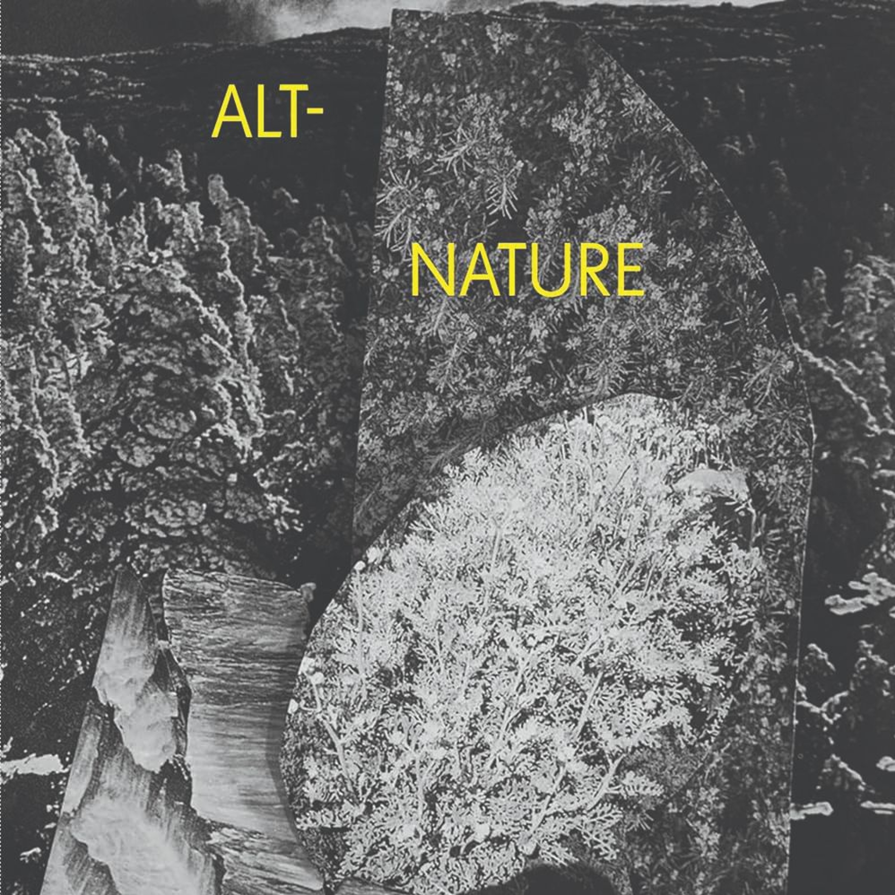 Alt-Nature by Saretta Morgan episode artwork