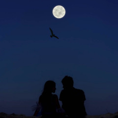 Watch The Moon