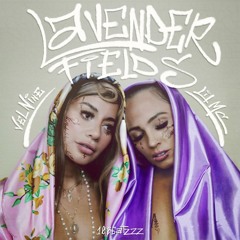 Lavender Fields