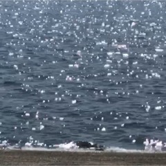 괜찮나요(20200326sketch)