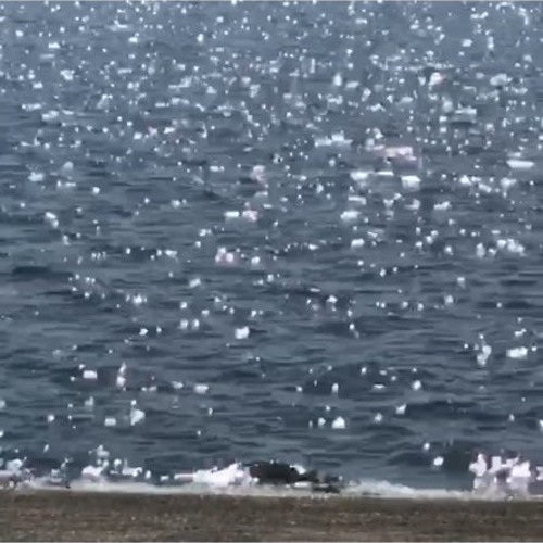 괜찮나요(20200326sketch)