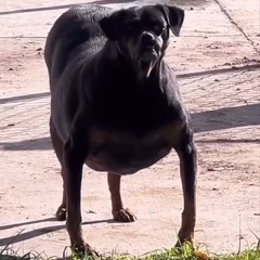 ewwy