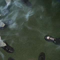 libede x sele - mreza