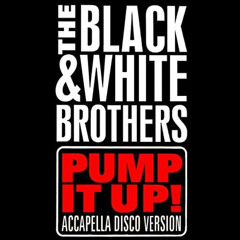The Black & White Brothers - pump it up ( mikeandtess remix 4 fun)