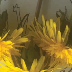 DIAHASTOO - my mistake!