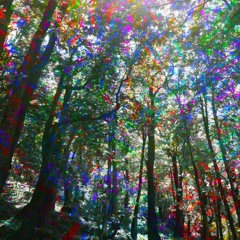 Sharenish Forest Xmi