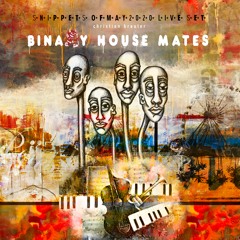 binary house mates