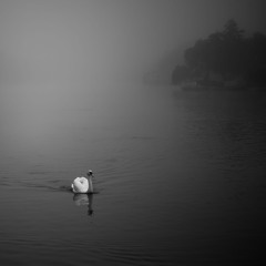 Winds Along the Thames – Let Go, and Let It Carry (Lyrics Below)