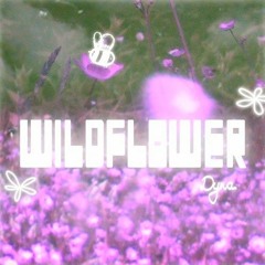 dyna - wildflower (remix)