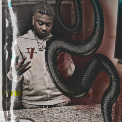 118riq - snake