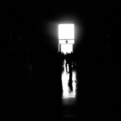 fradkin: photography