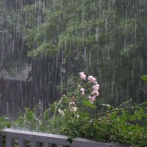Dacent - RAIN ON ME (prod. me) 2024