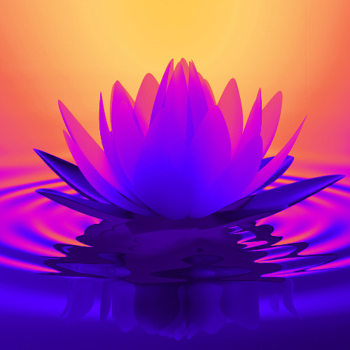 white lotus ( sarkissian psychedelic mix )