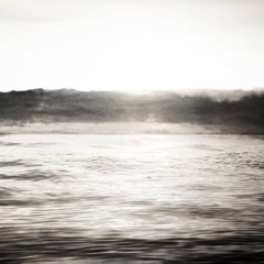 Temporary Haven ('25)