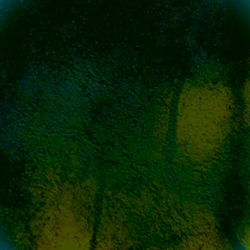 Just a fleeting memory - Chiaroscuro (Un fugace ricordo)