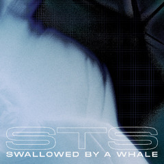 STS - Swallowed by a Whale *snippets* (TXTR002)