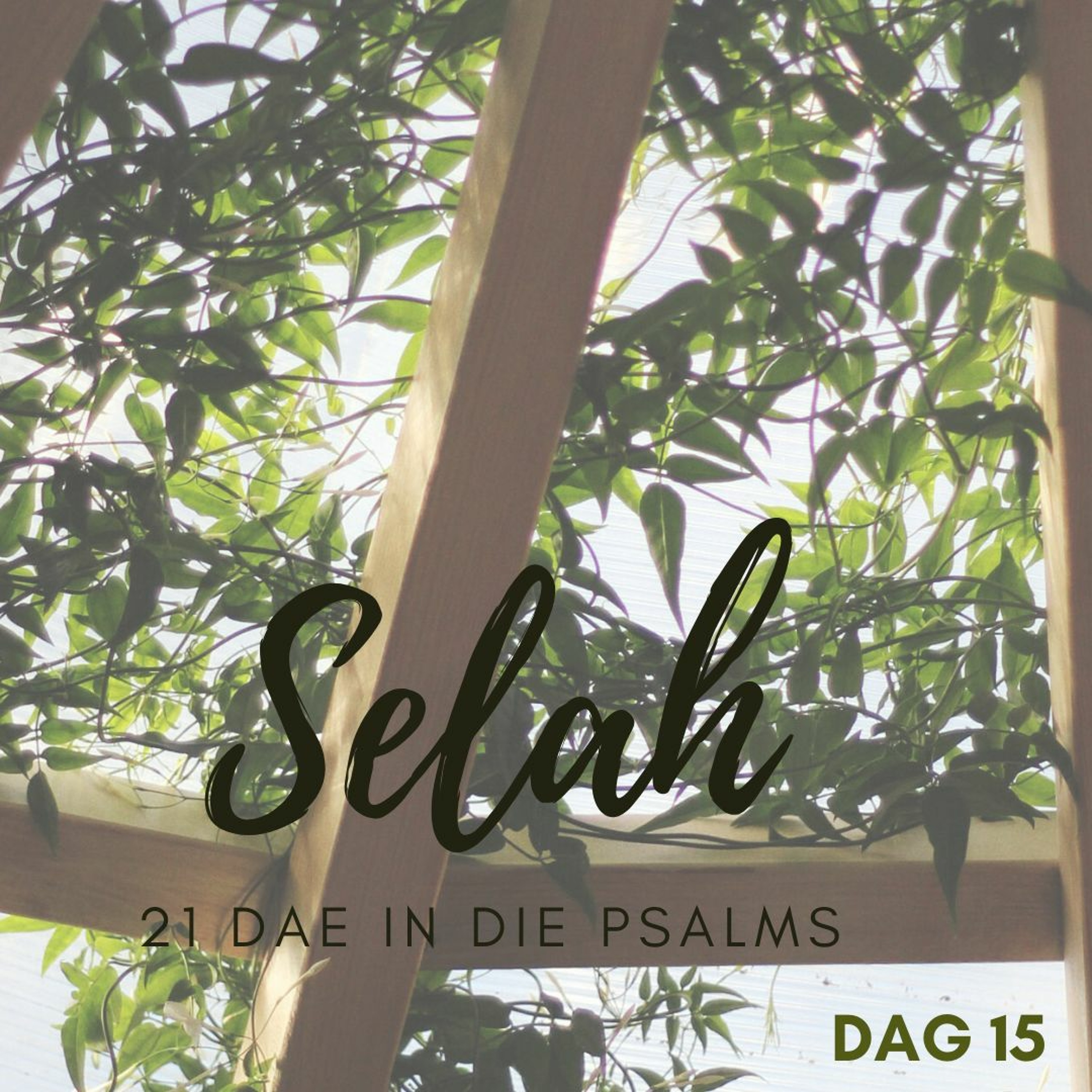 Sion Gemeente Parys