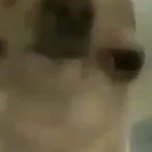 Big Thief - Not (slowed+ reverb)