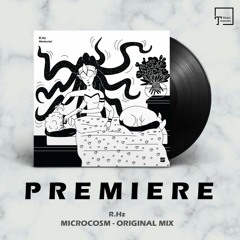 PREMIERE: R.Hz - Microcosm (Original Mix) [SPCLNCH]