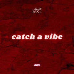 catch a vibe 004 - threesixfive