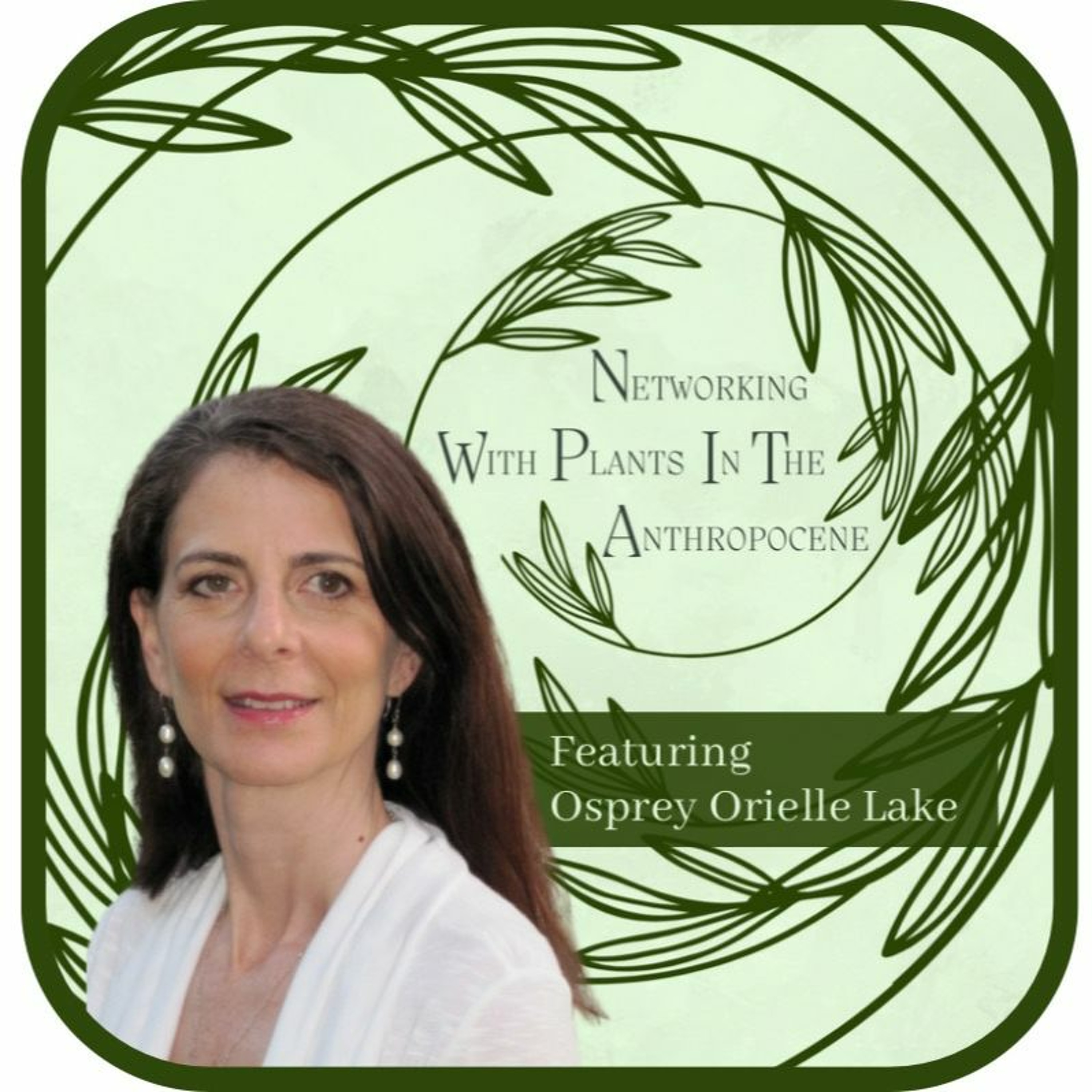 Podcast Networking with Plants in the Anthropocene