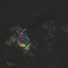 DFA Archived Selections (2018-2020) created weekly as an alternate history of new release Friday - part 3