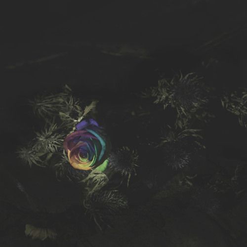 DFA Archived Selections (2018-2020) created weekly as an alternate history of new release Friday - part 3