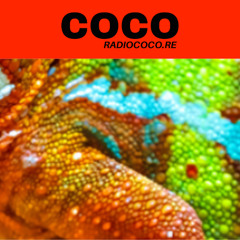 Tropical Coco Club - Tropical Coco Club, écrans sonores