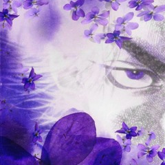 Violet <Prod:Nurture>