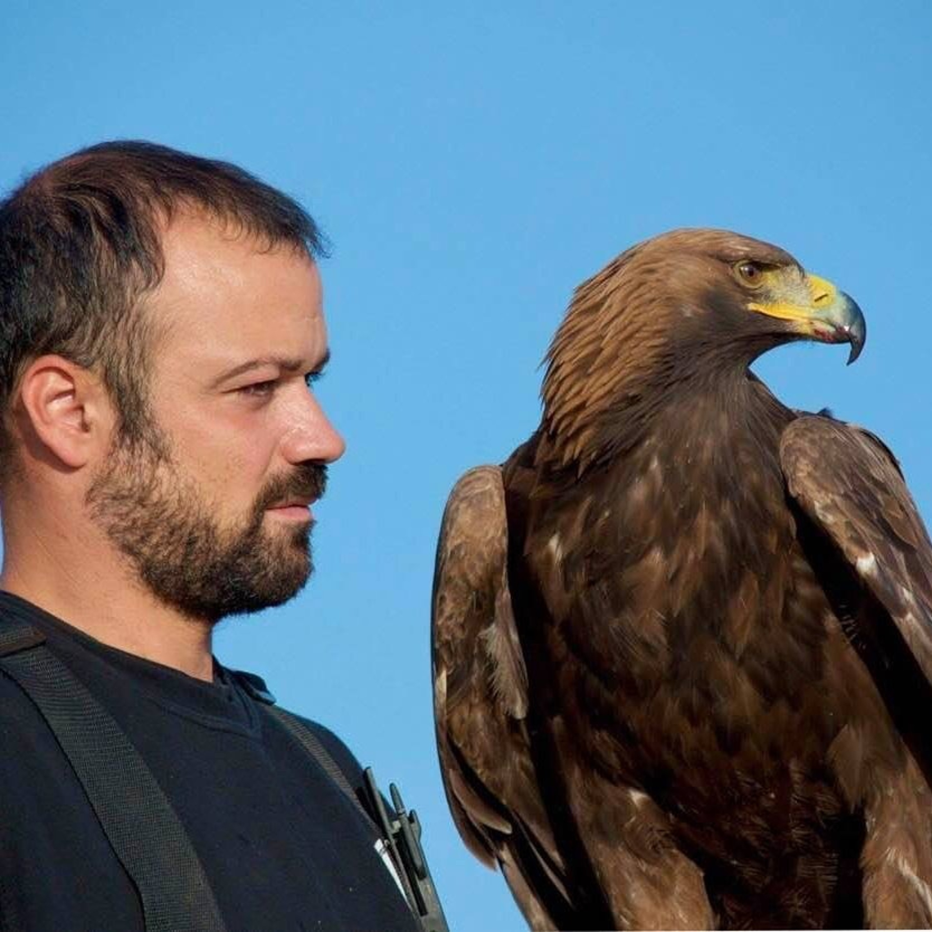 Ο Σ. Αθανασίου  για το κυνήγι της  «Ιερακοθηρίας» episode artwork