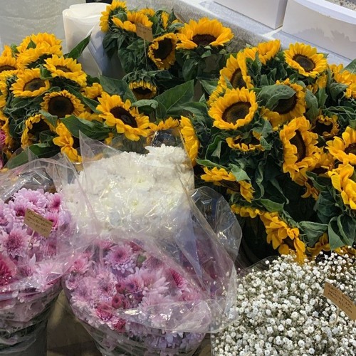 FEELINGS & VIBES 🎧✌️🎧💯