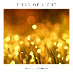 Field Of Light