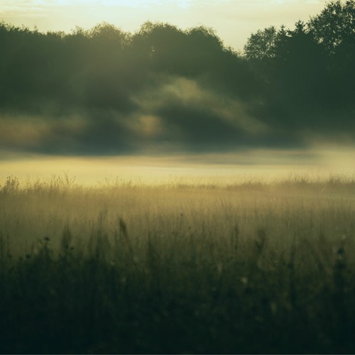 Morning Echo